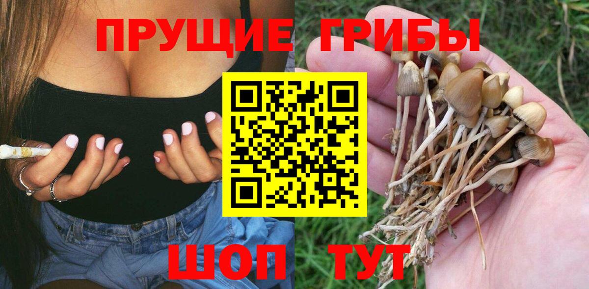 Галлюциногенные грибы мицелий  Псилоцибиновые грибы Psilocybine cubensis  купить наркотик  Строитель  Вход с VPN 