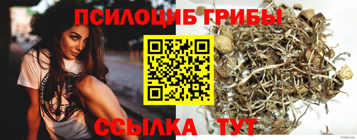 Псилоцибиновые грибы Magic Shrooms Строитель